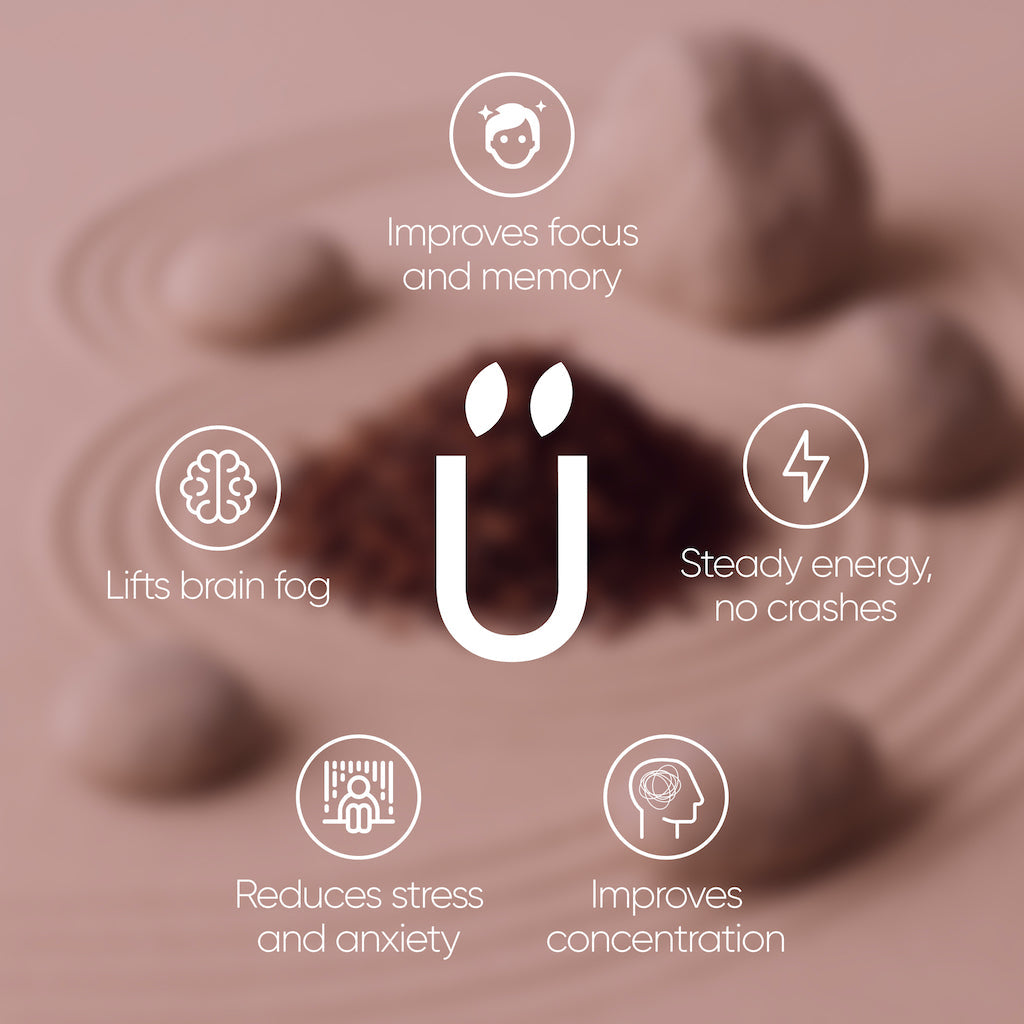 Brainbooster 2.0